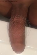 Madrid Trans Angeles Cid  0034627345057 foto selfie 13