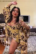 Alba Adriatica Trans Emme 333 16 48 972 foto selfie 155