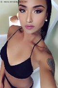 Milano Trans Katrina Asiatica 393 50 20 179 foto selfie 17