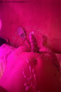 Bologna Trans Escort Lara Melo 389 43 41 787 foto selfie 20
