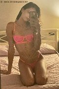 Milano Trans Escort Lola Mia 380 20 03 563 foto selfie 20