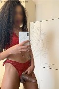Legnano Trans Escort Miele 331 78 08 280 foto selfie 69