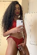 Modena Trans Escort Miele 328 42 56 421 foto selfie 79