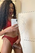 Modena Trans Escort Miele 328 42 56 421 foto selfie 80