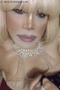 Milano Trans Escort Nicole Vip Venturiny 353 35 38 868 foto selfie 589