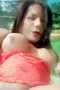 Novara Trans Nikole 331 21 64 480 foto selfie 6