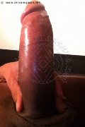 Milano Trans Paula Xxl 376 29 61 336 foto selfie 26
