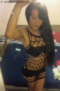 Bologna Trans Rosa Xxxl 328 74 36 345 foto selfie 48