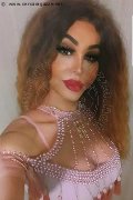 Bologna Trans Rosa Xxxl 328 74 36 345 foto selfie 18