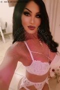 Bologna Trans Rosa Xxxl 328 74 36 345 foto selfie 43