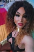 Bologna Trans Rosa Xxxl 328 74 36 345 foto selfie 20