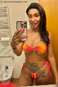 Gallarate Trans Thayys Castro 329 72 89 046 foto selfie 5