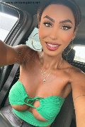 Gallarate Trans Escort Thayys Castro 329 72 89 046 foto selfie 12