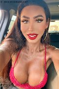 Gallarate Trans Escort Thayys Castro 329 72 89 046 foto selfie 20