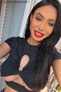 Gallarate Trans Escort Thayys Castro 329 72 89 046 foto selfie 34