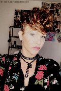 Treviso Trans Valeria 338 87 18 849 foto selfie 593