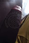 Milano Trans Virna La Super Dotata 349 43 93 969 foto selfie 6