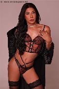 Foto Sophia Brasiliana Xxl Annunci Trav Milano 344 6989173 - 5