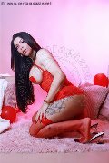 Foto Sophie Vergara Annunci Transescort Torino 351 6700925 - 9