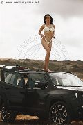 Foto Vanessa Hilton Annunci Trans Modena 324 5846577 - 110