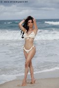 Foto Vanessa Hilton Annunci Trans Modena 324 5846577 - 103