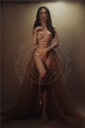 Foto Vanessa Hilton Annunci Trans Modena 324 5846577 - 41