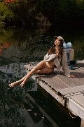 Foto Vanessa Hilton Annunci Trans Modena 324 5846577 - 59