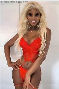 Foto Virna La Super Dotata Annunci Trans Milano 349 4393969 - 2