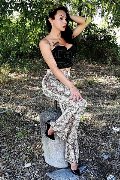 Foto Adriana Paulett Annunci Transescort 389 1399263 - 311
