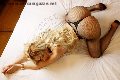 Foto Alejandra Holguin Annunci Trans Palermo 331 4081639 - 277