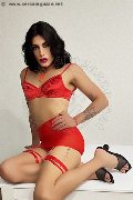 Foto Elisa Annunci Travescort Genova 351 2604780 - 20