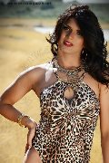 Foto Flavia Bambola Annunci Trav Basilea 331 3153877 - 88