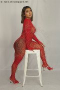 Foto Gabyzinha Annunci Trans Firenze 352 0298736 - 16