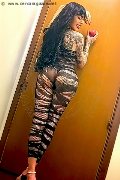 Foto Heron Annunci Transescort Prato 393 3783206 - 2