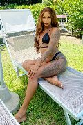 Foto Hillary Brasiliana Annunci Trans Alba Adriatica 338 4136322 - 43