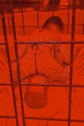 Foto Hot Giada Annunci Escort Varese 350 8917939 - 1