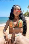 Foto Hot Wanessa Ambrosio Annunci Transescort Frosinone 351 8069231 - 7