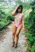 Foto Lara Mulata Brasiliana Annunci Trans Agrigento 324 5824686 - 41