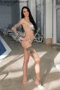 Foto Maria Annunci Girl Vibo Valentia 329 5556638 - 8