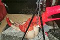 Foto Mistress Laura Annunci Mistresstrans Roma 320 8356177 - 16