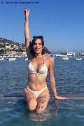 Foto Nick Miller Annunci Transescort Verona 338 2945956 - 84