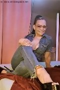 Foto Perla Annunci Girl Biella 333 9215192 - 1