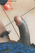  Trans Escort Amanda Lya 327 38 16 212 foto selfie 22