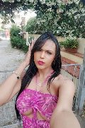 Lido Di Camaiore Trans Escort Amanda Soares 331 97 94 062 foto selfie 16