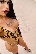 Treviso Trans Escort Rayla Rios 329 38 77 403 foto selfie 10