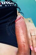Rende Trans Escort Shaila Rodriguez 338 47 45 523 foto selfie 6