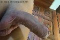 Torino Trans Escort Sofia 347 30 29 531 foto selfie 30