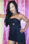 Foto Yoko Tx Annunci Trans Arezzo 333 2942465 - 33